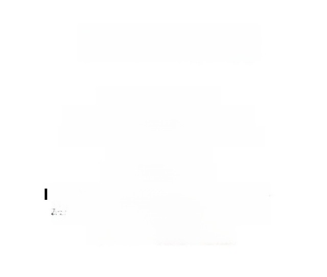 Summer White Long Dr Women's S - D Ring Strap 评论和价格